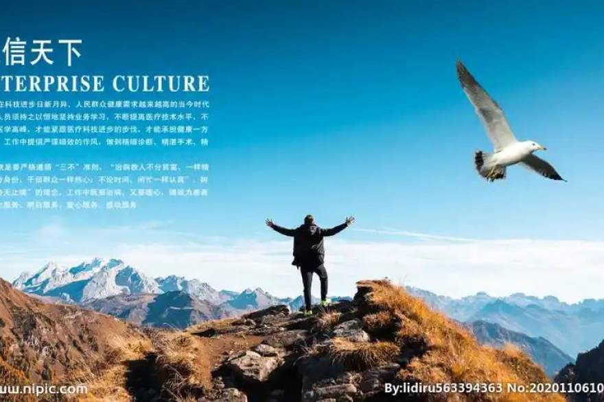 看个比赛移动客户端观赛界面展示